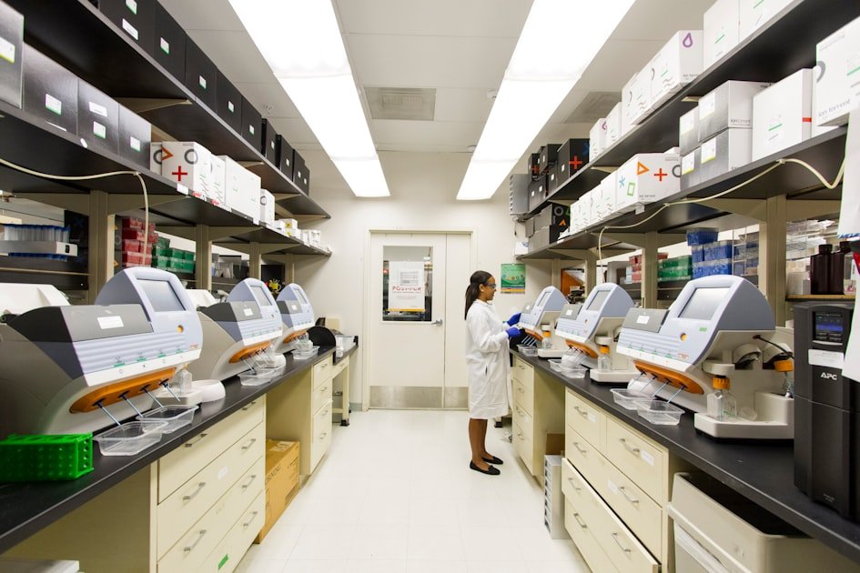 The Role of Transparency in Research